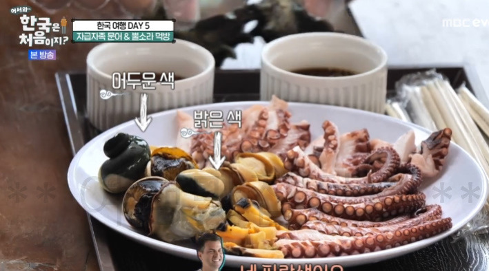 어서와 자급자족 문어 & 뿔소라 먹방 어디? 한국은 처음이지 한국여행 DAY 5 3 ywAAAAAAQABAAACAUwAOw==