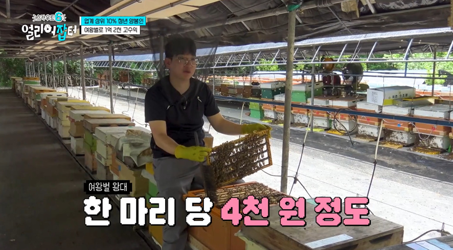 옛날이랑 다른 요즘 매출 4억 나온다는 농업.jpg | 인스티즈