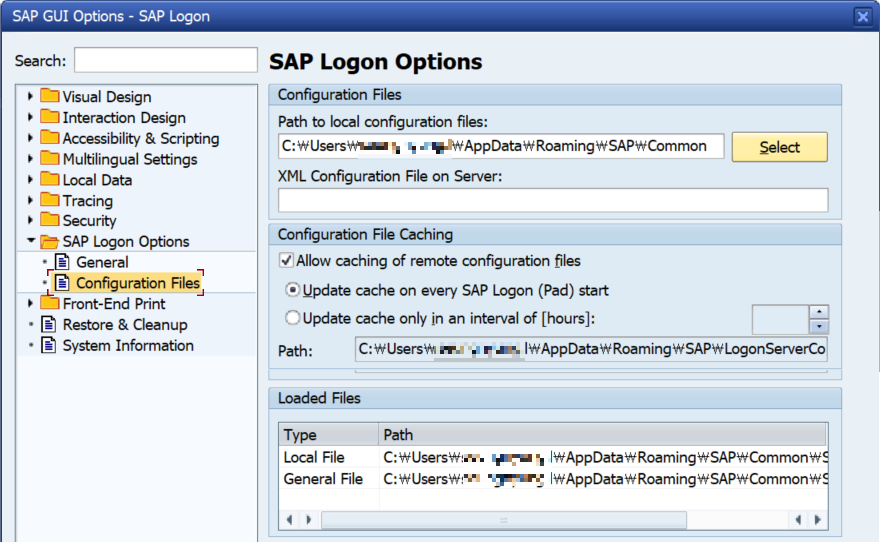 Saplogon Options Config File , SAP GUI Handling for Beginners – DQBMQ