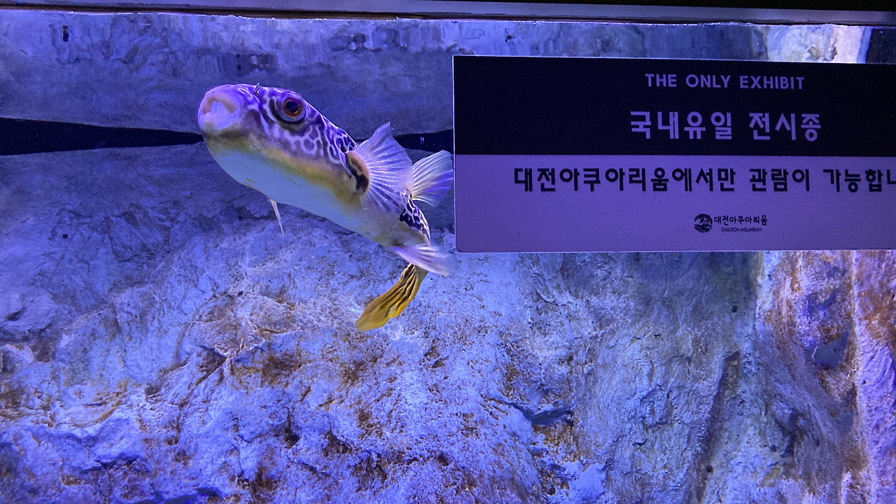 '국내 유일 전시종'이라는 팻말만 있고 이름은 없음.;;