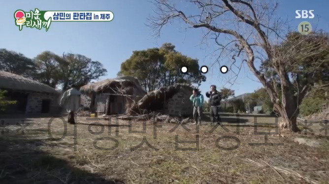 미우새 336회 상민의 판타집 in 제주, 세 번째 집, 보증금 2,000만원 월세 20만원 560평 레트로 초가집 8 ywAAAAAAQABAAACAUwAOw==