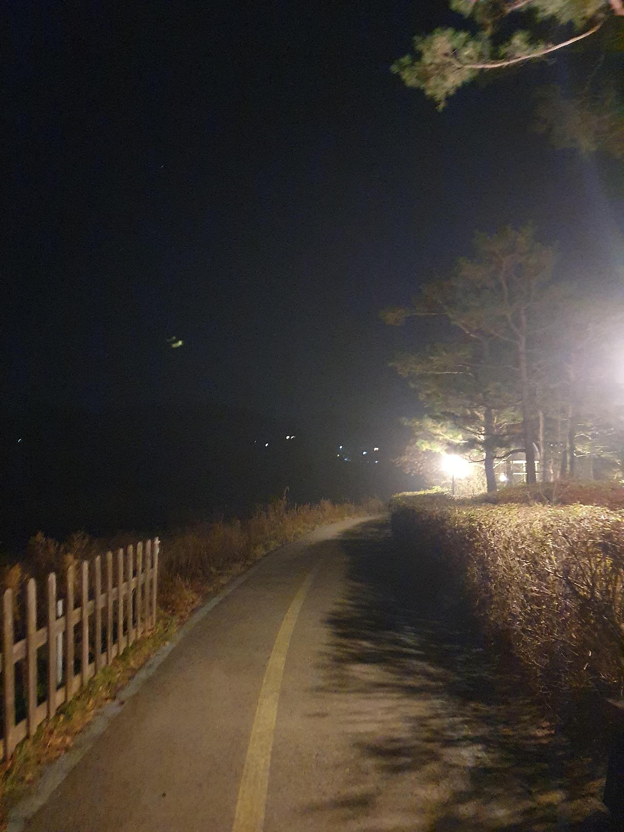 양평 소노문리조트(구.대명리조트)야외정원 산책길 9 ywAAAAAAQABAAACAUwAOw==