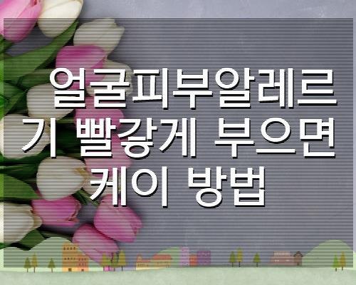 얼굴피부알레르기 빨갛게 부으면 케이 방법