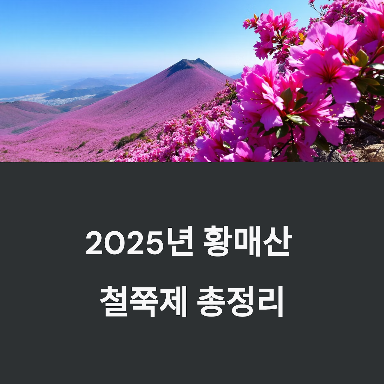 아로스 팝업