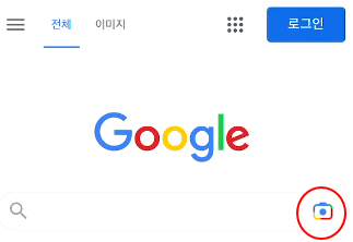구글 검색에서 바로 구글 렌즈 사용하기 2 ywAAAAAAQABAAACAUwAOw==