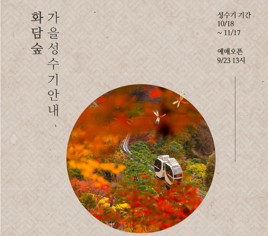 아로스 팝업