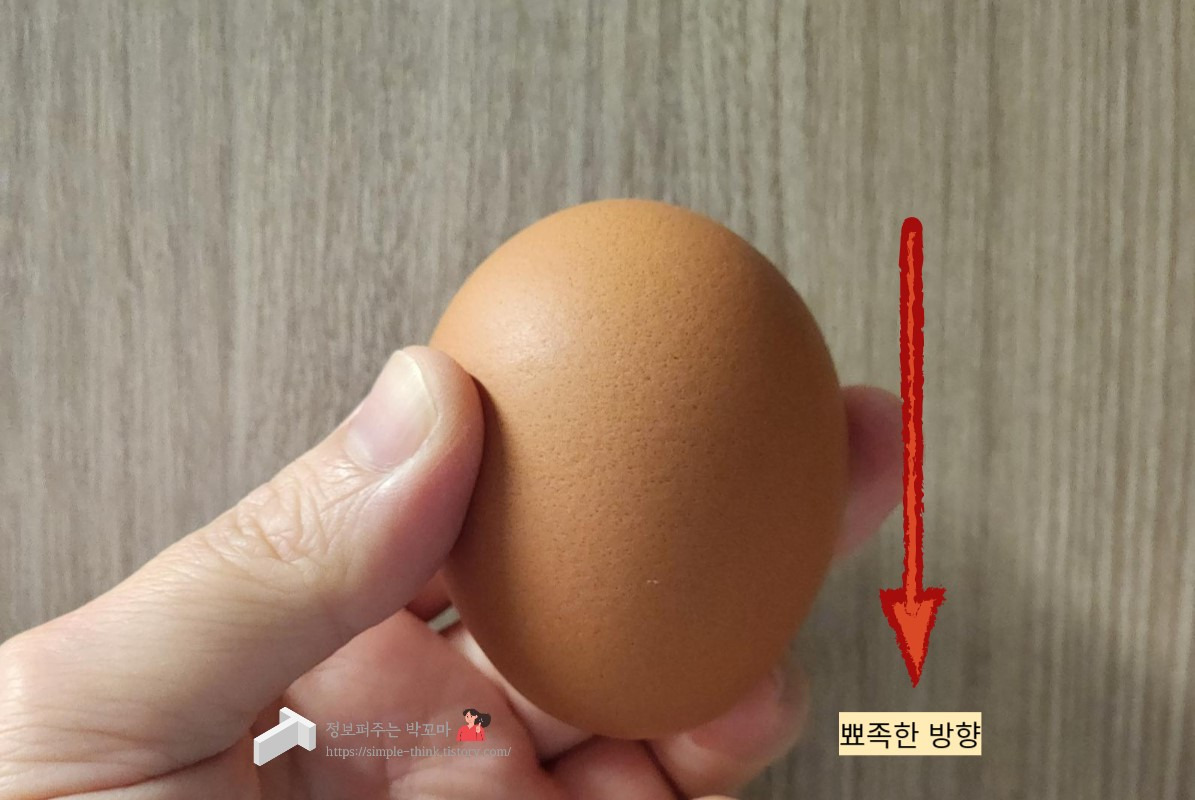 좋은 계란 고르는 방법과 올바른 계란 보관법 5 ywAAAAAAQABAAACAUwAOw==