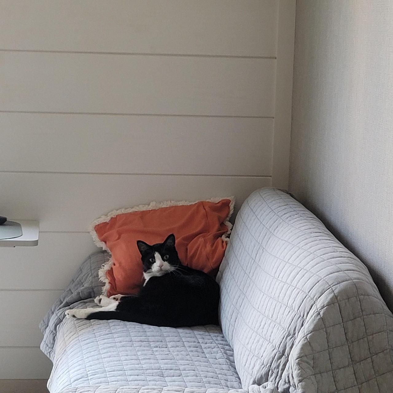 ?scode=mtistory2&fname=https%3A%2F%2Fblo