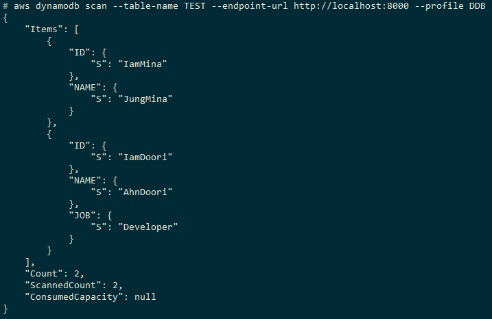 local dynamodb testing