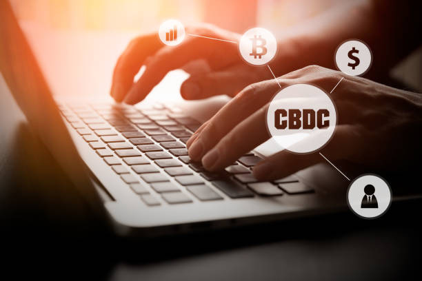 금융 포용 및 은행 서비스 접근에 대한 중앙은행 디지털 화폐(CBDC)의 영향 8 중앙은행 디지털 통화(CBDC)의 의미
