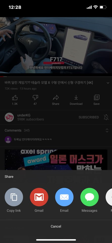 scriptable youtube pip