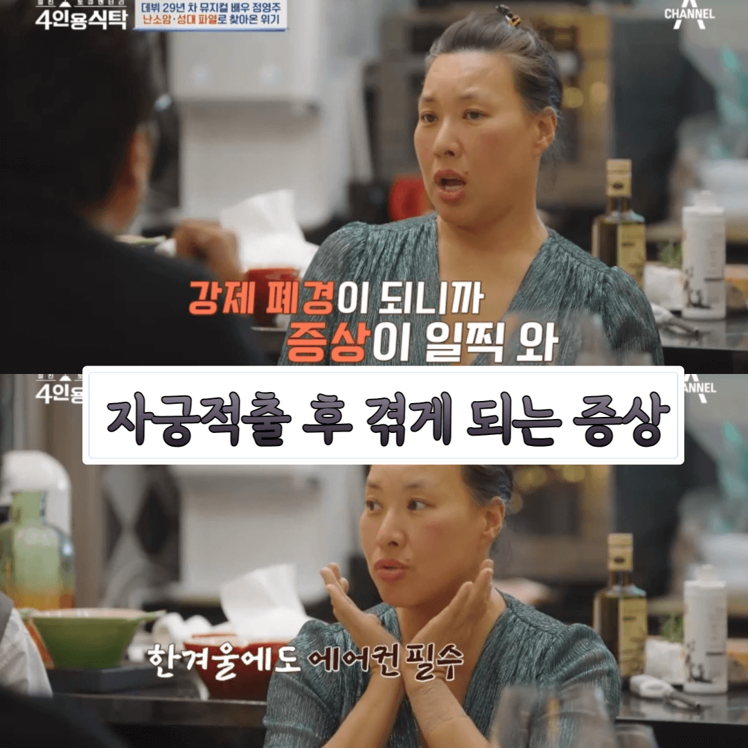 배우 정영주 난소암으로 자궁 적출 고백 : 수술 후 증상과 관리 방법 1 자궁 적출 후 증상-난소암-자궁 적출-증상