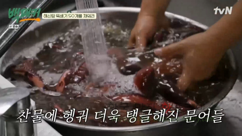 백패커 백종원 육해공 해신탕 뚝배기 레시피 39 ywAAAAAAQABAAACAUwAOw==