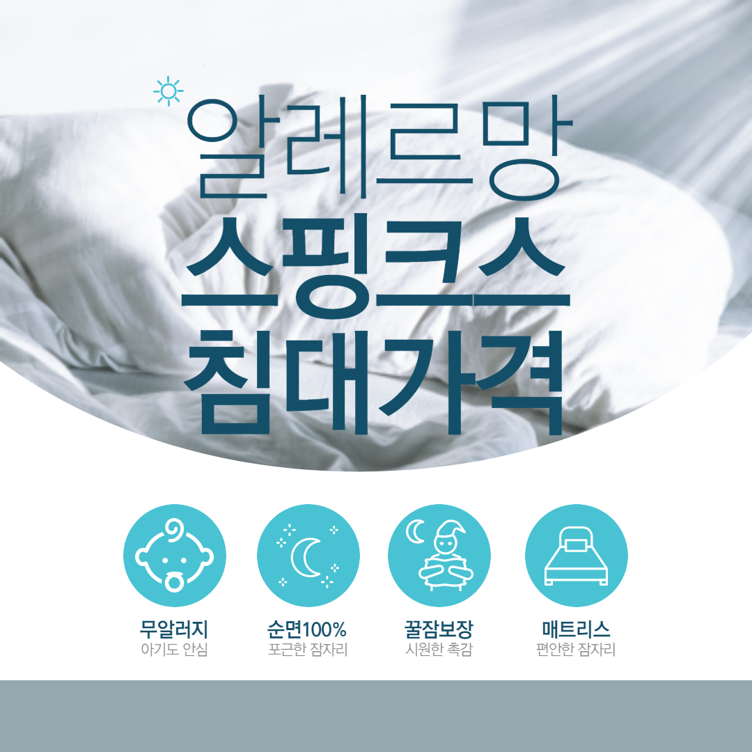 알레르망 스핑크스 침대 가격에 대해서 알아볼게요.