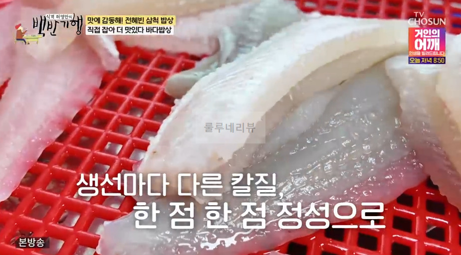 백반기행 삼척 바다밥상, 전혜빈 삼척 밥상 직접 잡아 더 맛있다 바다밥상 모듬회 먹은 횟집 어디? 8 ywAAAAAAQABAAACAUwAOw==