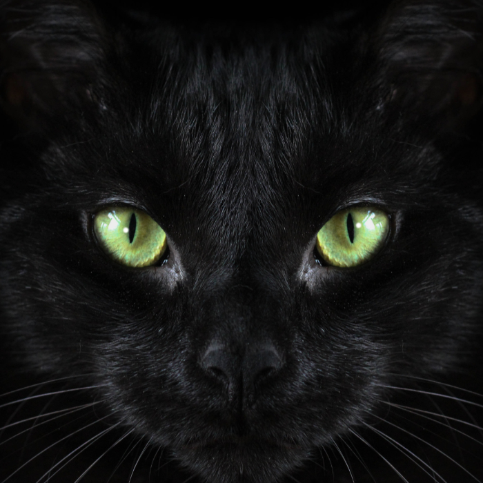미국 일상 문화에 스며 있는 미신(Superstition) 이야기 3 ywAAAAAAQABAAACAUwAOw==