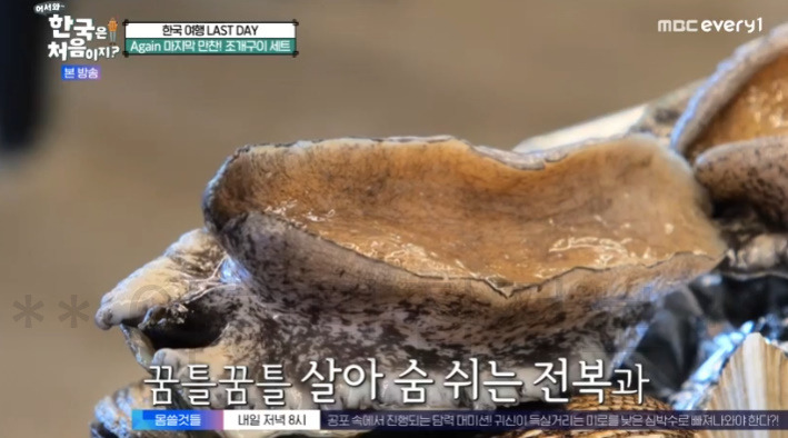 어서와 한국은 처음이지 조개구이 세트 치즈가리비 파는 곳 인천 을왕리 촬영지 어디? 7월 20일 305회 마지막 만찬 3 ywAAAAAAQABAAACAUwAOw==
