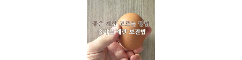 좋은 계란 고르는 방법과 올바른 계란 보관법 1 좋은 계란 고르는 방법-올바른 계란 보관법