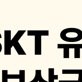 SKT 유심 해킹 피해 보상금