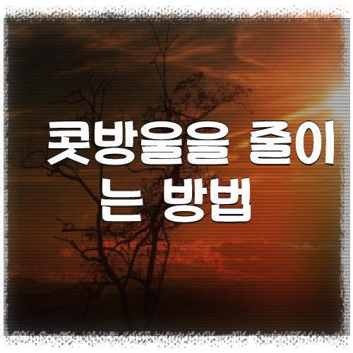 콧방울을 줄이는 방법