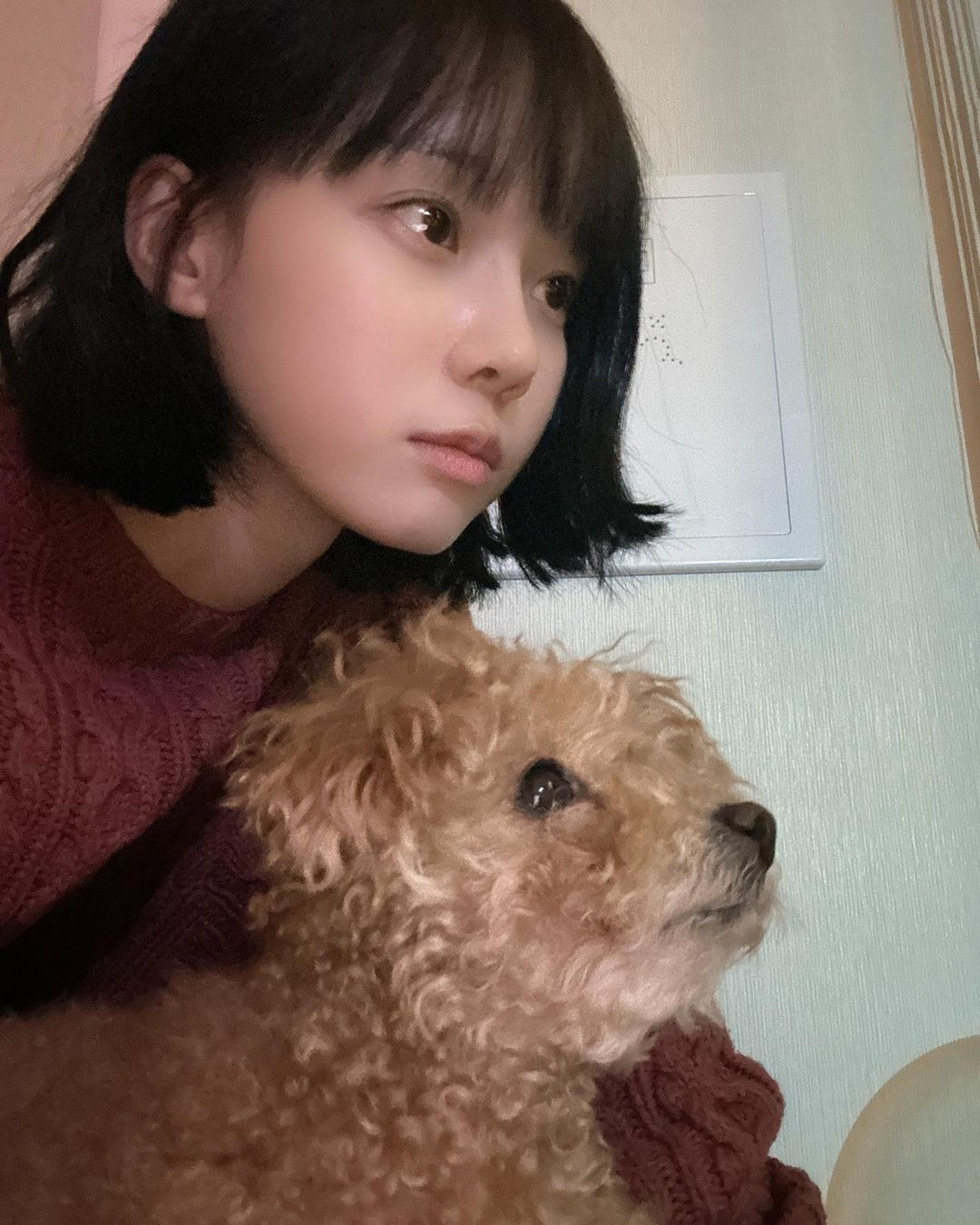 ?scode=mtistory2&fname=https%3A%2F%2Fblo