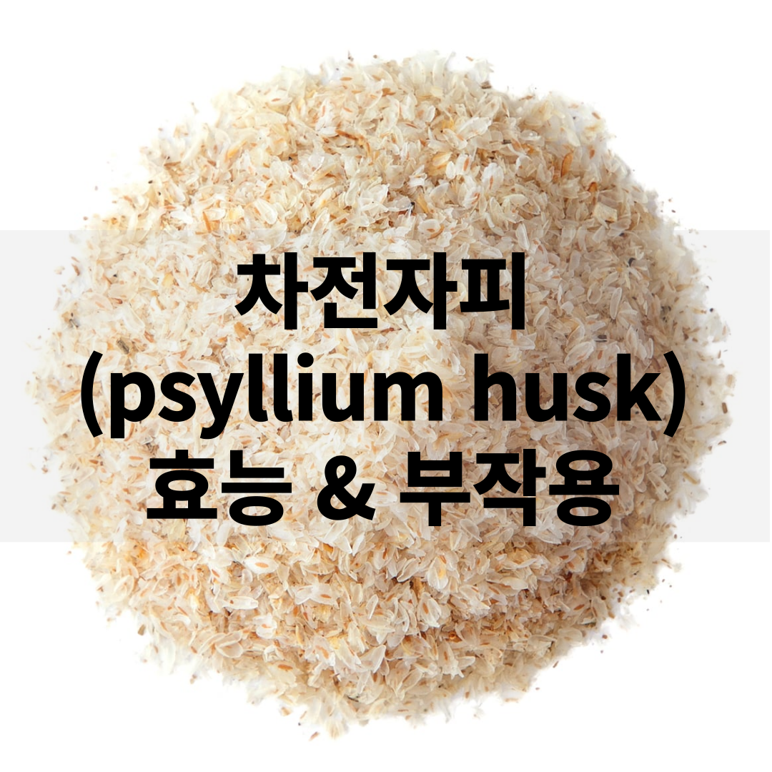차전자피(psyllium husk) 효능 및 부작용, 복용 방법