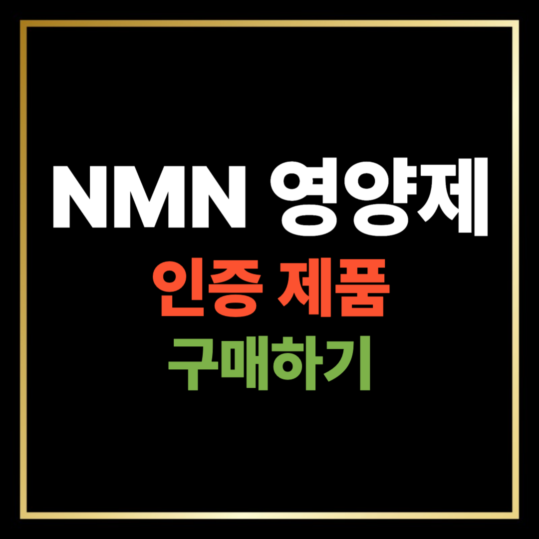 NMN 영양제