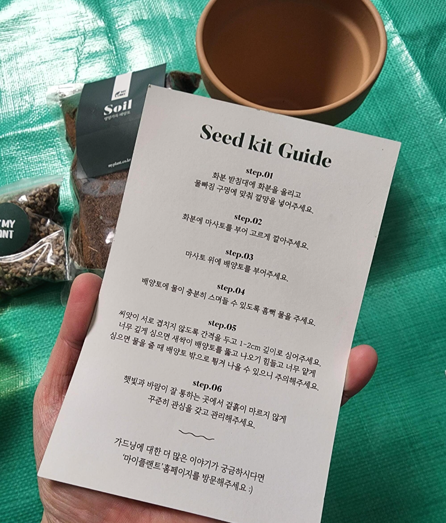 마이플랜트 바질 키우기 씨앗 재배 키트 직접 체험 5 ywAAAAAAQABAAACAUwAOw==