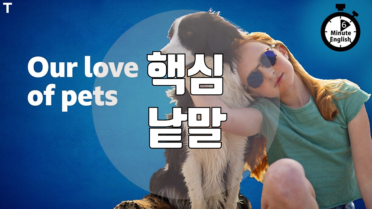 [BBC Learning English 강좌] Our love of pets 6 Minute English 영어단어공부