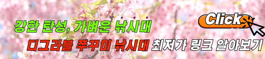 쭈꾸미낚시에 진심인 디그라블 쭈꾸미 낚시대 후기 및 최저가 링크 알아보기