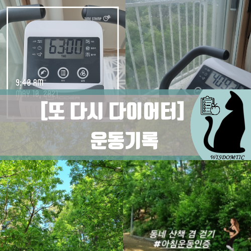 자전거 10분 칼로리