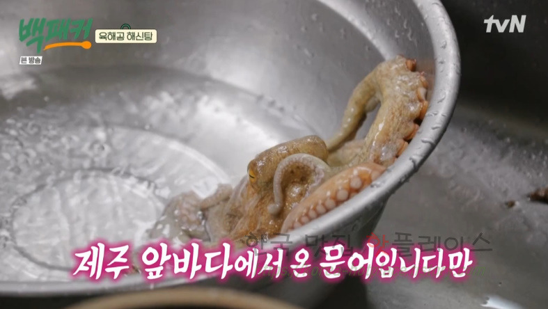 백패커 백종원 육해공 해신탕 뚝배기 레시피 20 ywAAAAAAQABAAACAUwAOw==
