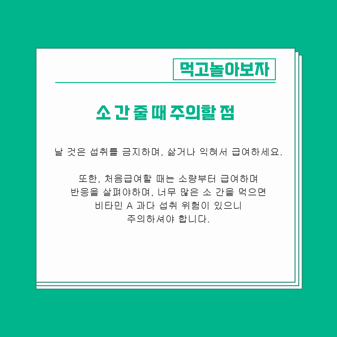 '소 간' 강아지가 먹어도 괜찮을까요? 주의할 점이 있어요