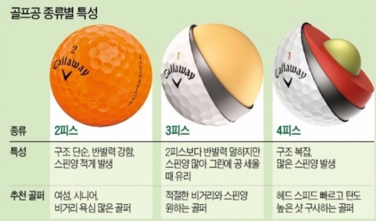 골프공 선택/2피스,3피스 1 ywAAAAAAQABAAACAUwAOw==