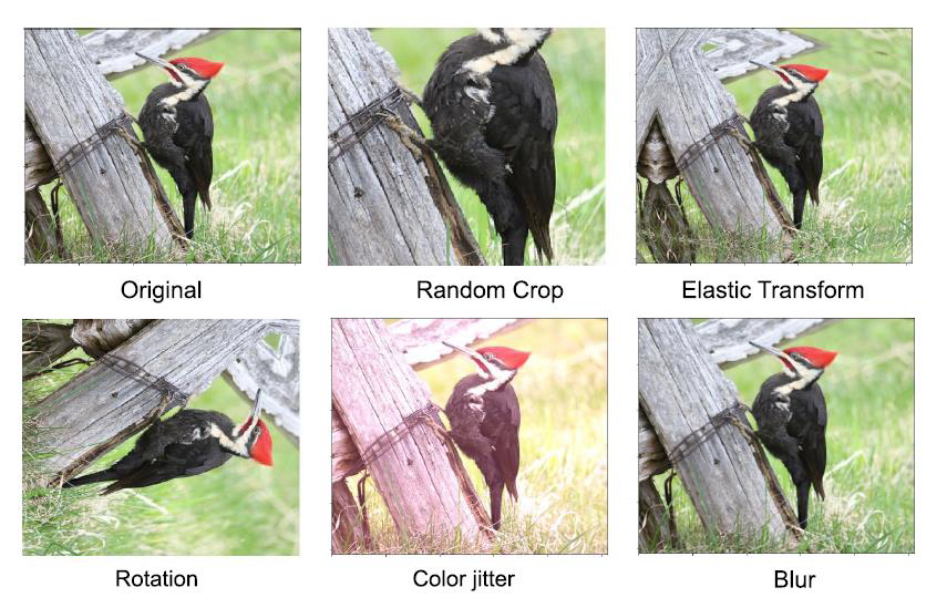 [기본 개념] CLIP (Contrastive Language-Image Pre-training)