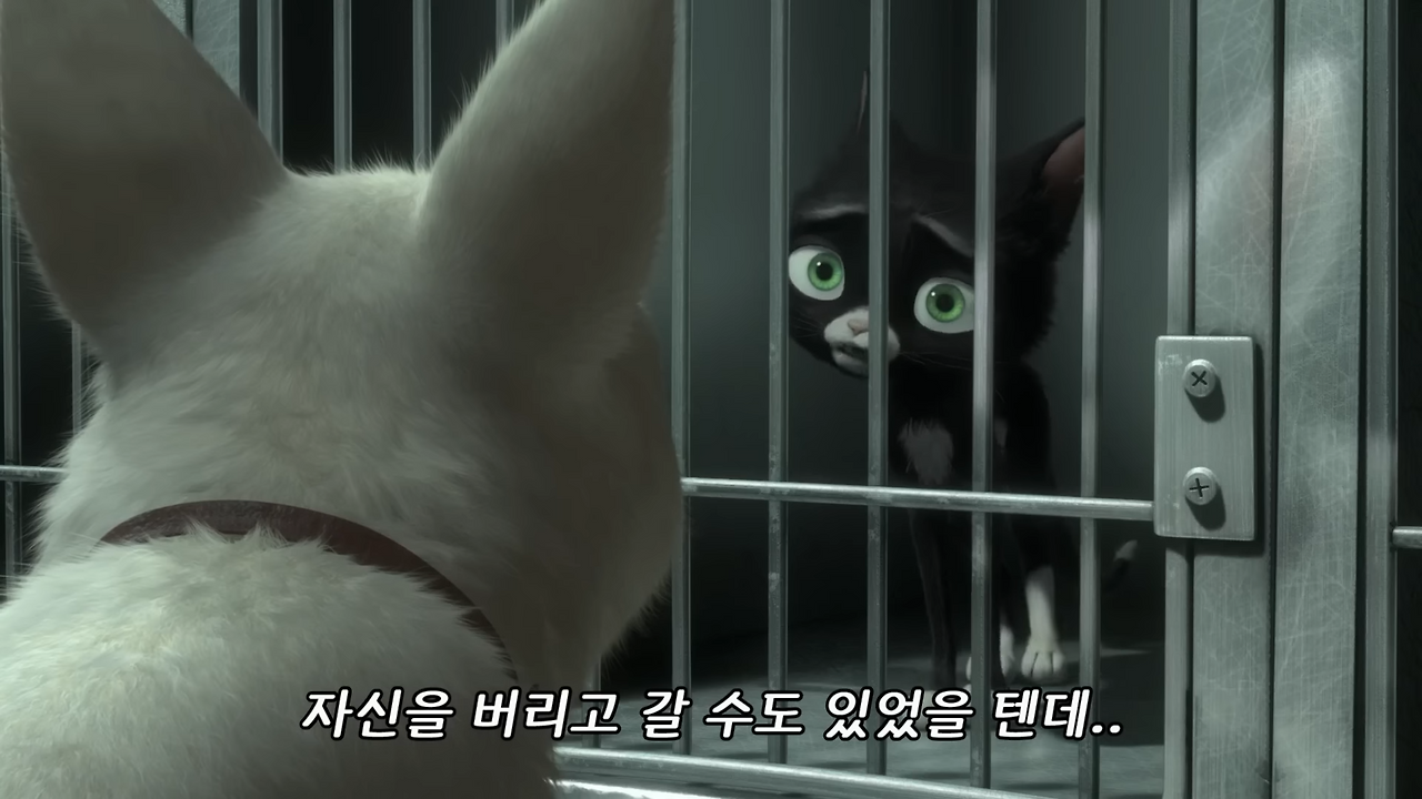 영화 