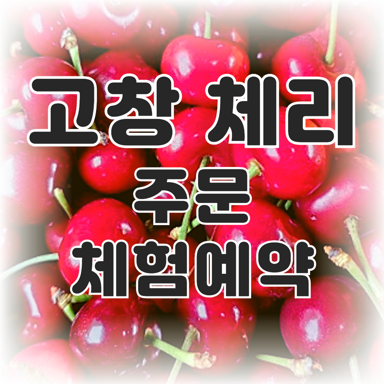 아로스 팝업