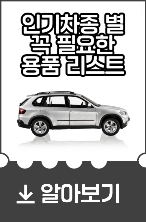 자동차-인기용품