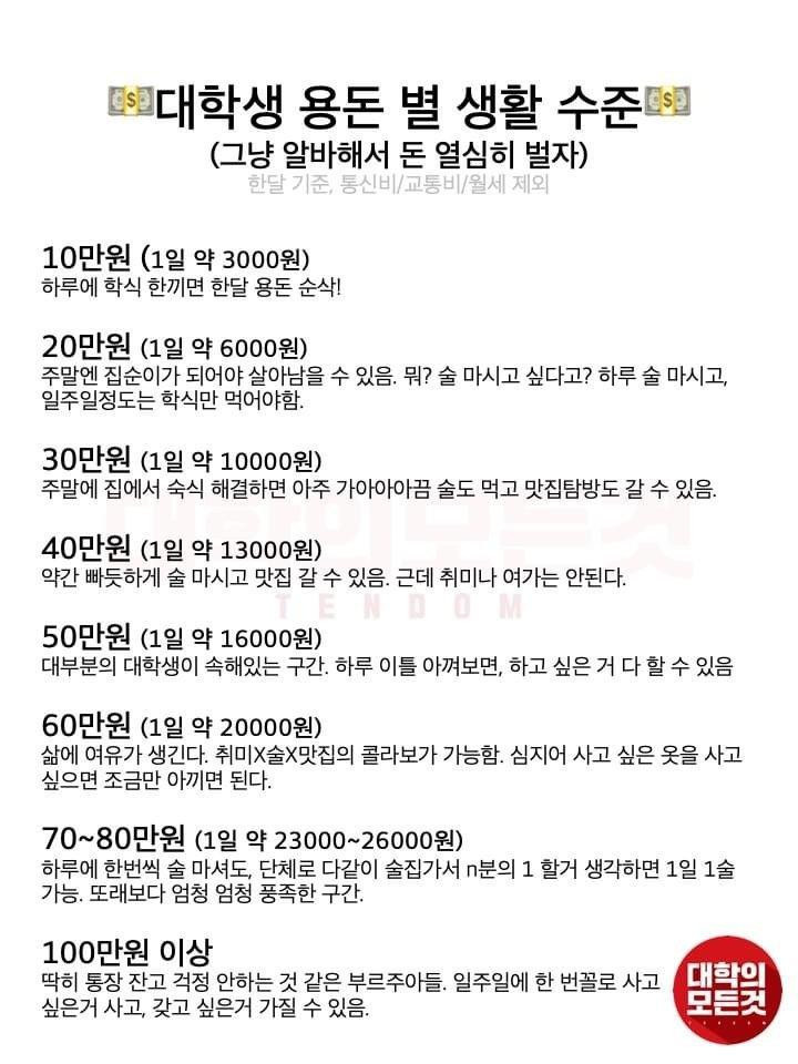 대학생 용돈별 생활 수준