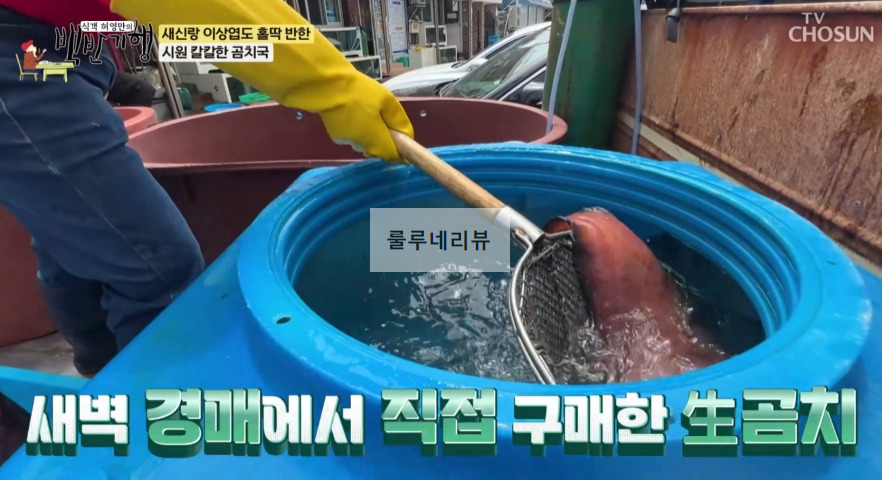 백반기행 가자미회 (가자미뼈째회), 곰치국 맛집 식당 촬영지 정보 - 시원시원하다 이상엽 삼척 밥상, 갓 잡아 떠주는, 시원 칼칼한 11 ywAAAAAAQABAAACAUwAOw==