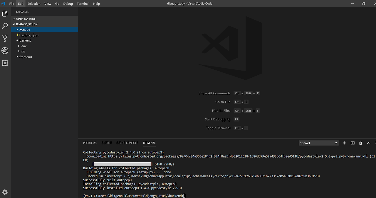 visual studio code install pil