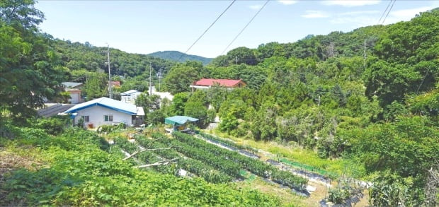 농림지역 내 '임야'에서 할수 있는 것들은 무엇일까? 3 ywAAAAAAQABAAACAUwAOw==