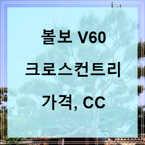 2021 볼보 V60 크로스컨트리 cc, 가격, 제원 알아보기