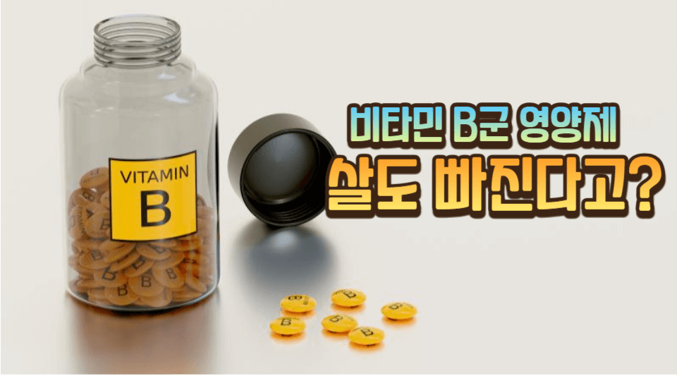 비타민 B.만성 피로 타파 뿐 아니라 살도 빠진다고? 1 다이어트-피부미용-피로개선-생활활력