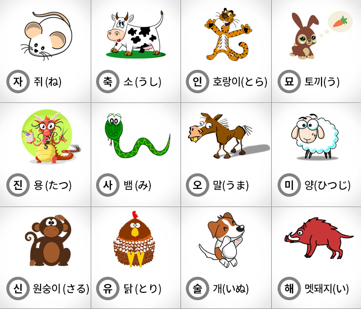 12간지 동물 순서 (자축인묘 진사오미 신유술해 의미, 육십갑자표)