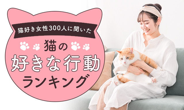 일본 여성 300명이 말하는 "고양이 이런 행동이 좋다" Top 10