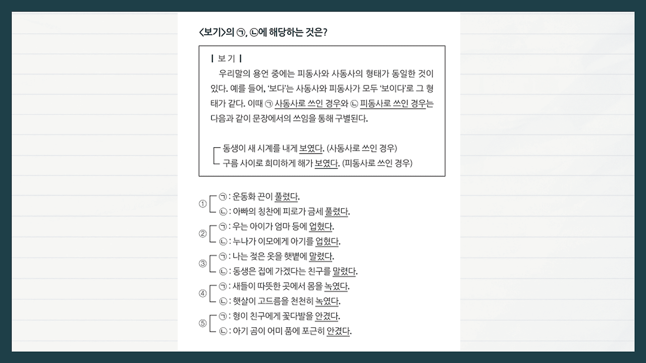 국어 문법 : 피동 사동 구별법 개념 총정리 기출 풀이