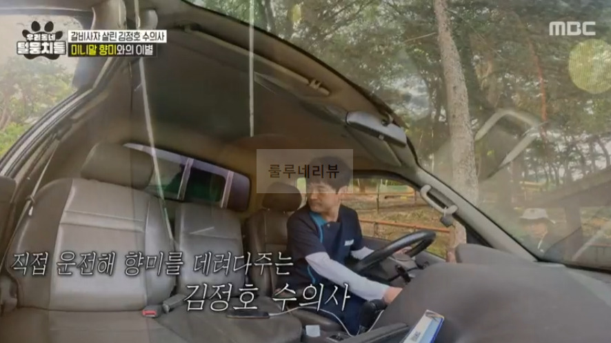 우리동네 털뭉치들 미니말 향미 간 동물원 어디? 갈비사자 살린 김정호 수의사 4 ywAAAAAAQABAAACAUwAOw==