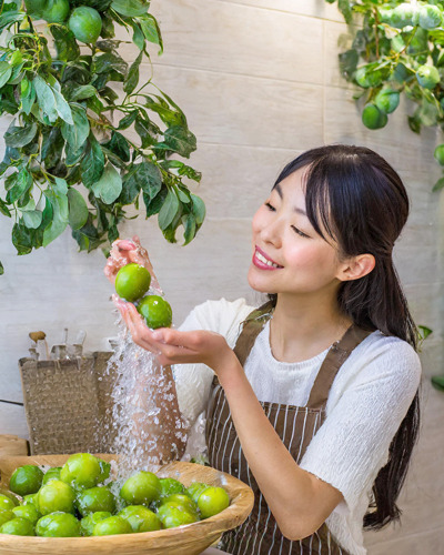 매실청 만드는 방법