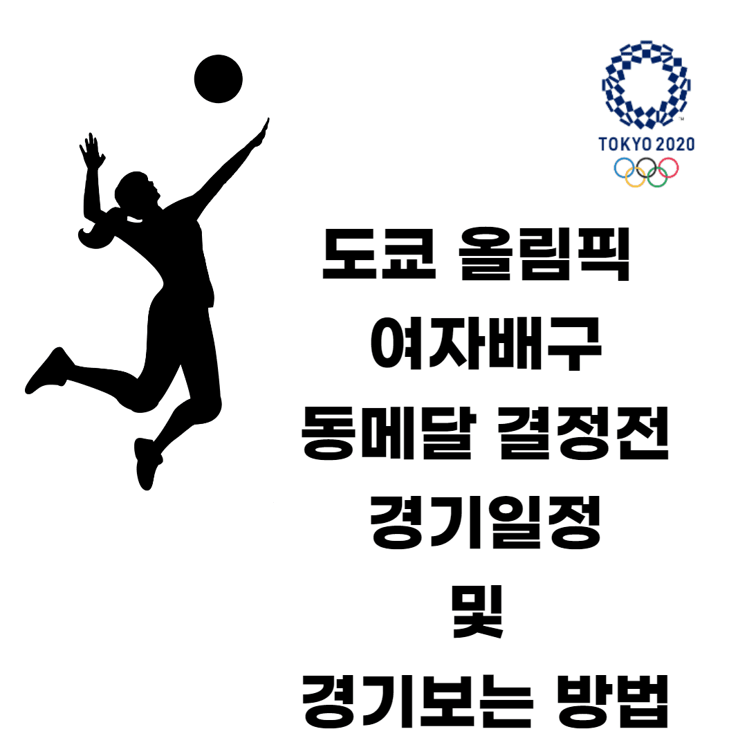 대한민국 여자 배구 동메달 결정전 경기일정 및 경기보는 방법